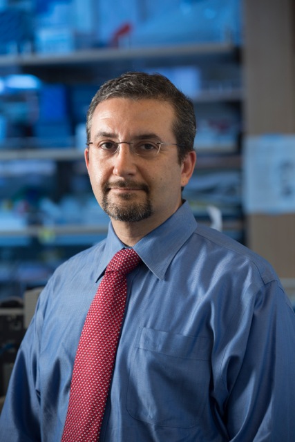 Ash Alizadeh, MD, PhD