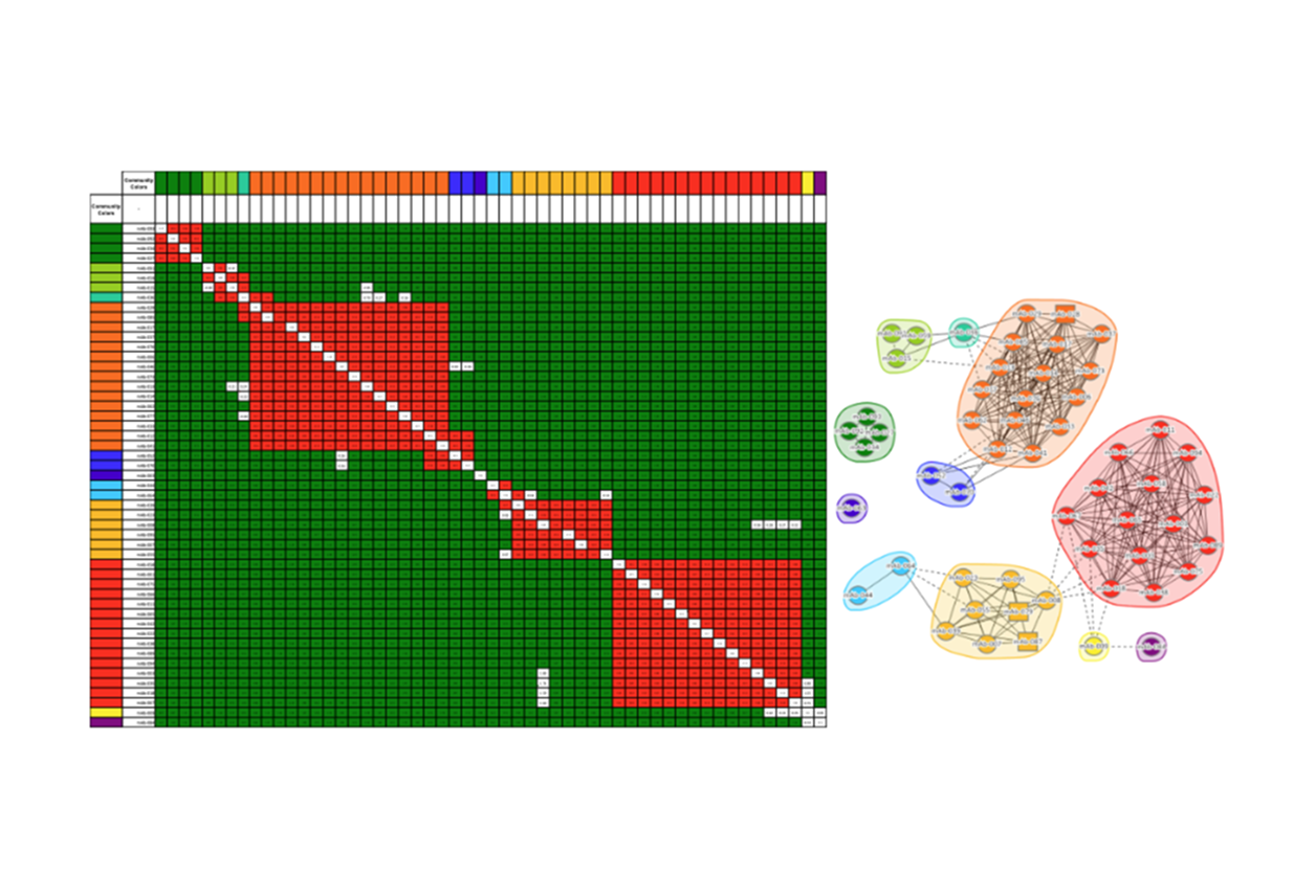 Biophysical Characterization: Epitope Binning (SPR) - Map competitive binding relationships to identify epitope diversity and guide lead selection.
