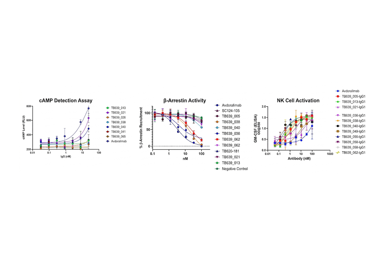 Comprehensive Functional Characterization - Customizable assay platforms to evaluate functional potency and mechanism of action across multiple cell types.