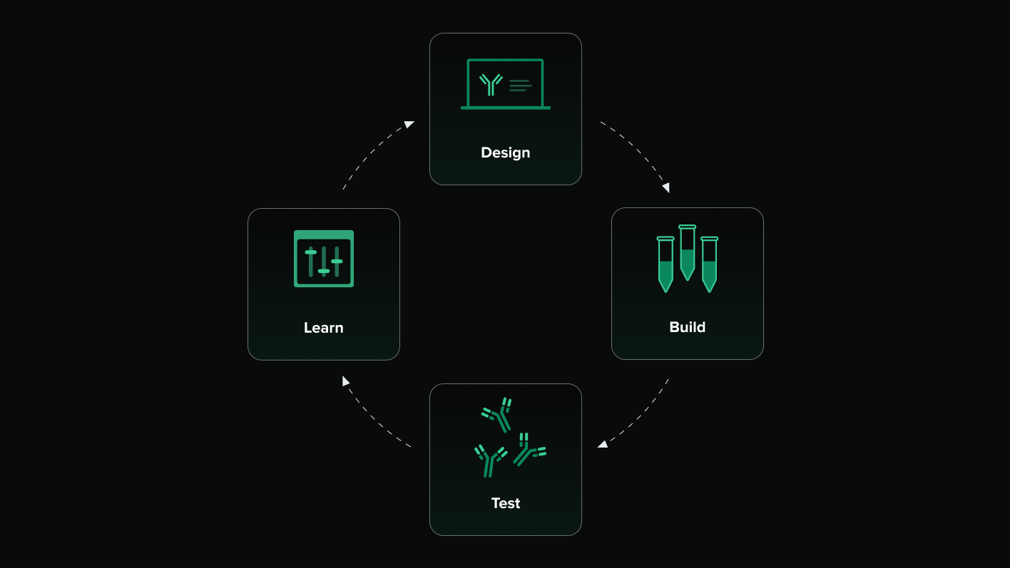 DLBM Diagram
