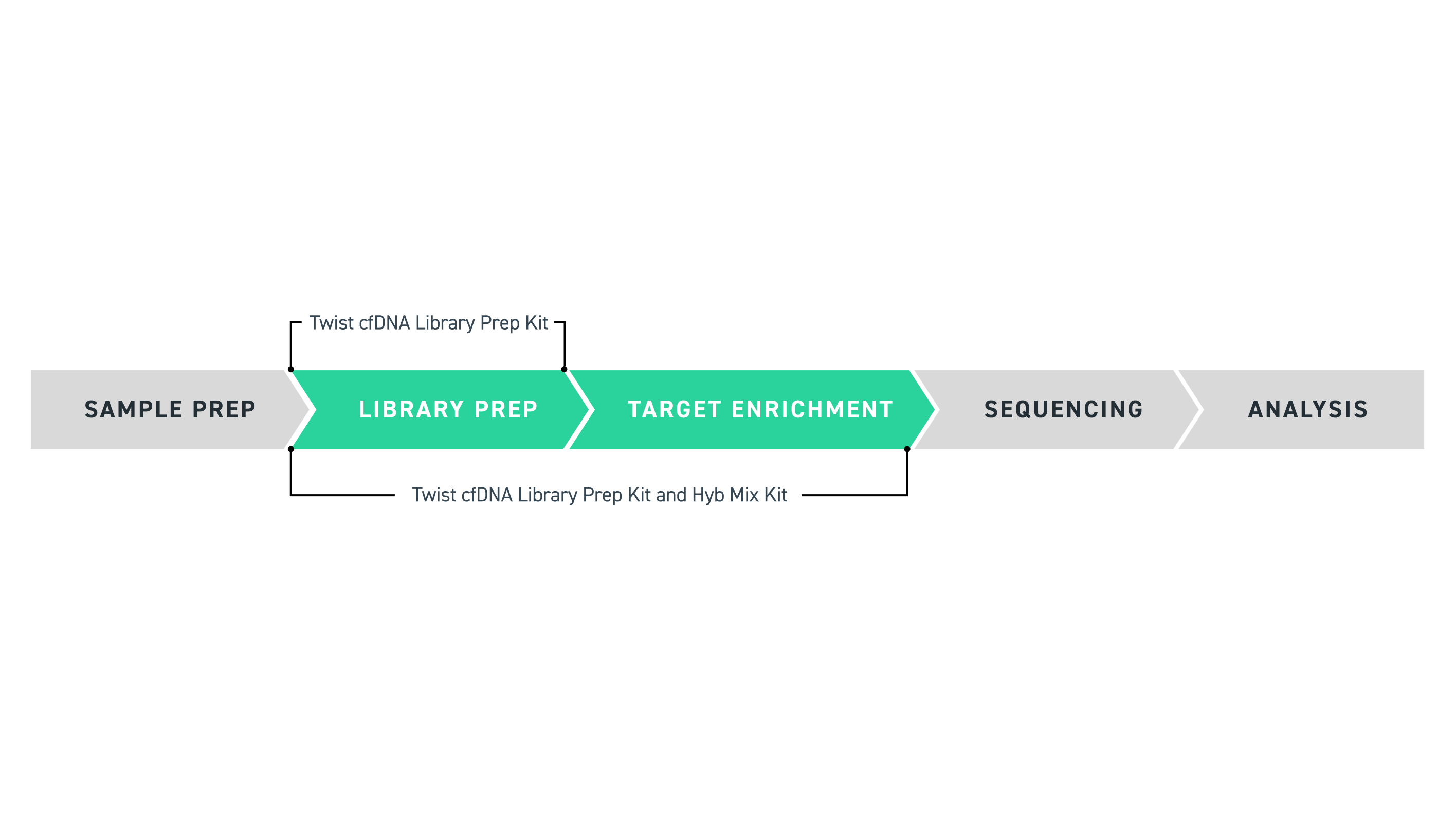 Workflow_figure